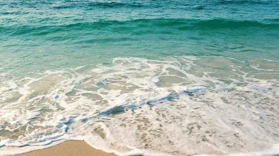 Waves reaching the sand on a South Bay beach